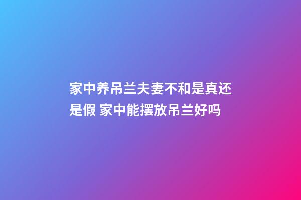 家中养吊兰夫妻不和是真还是假 家中能摆放吊兰好吗